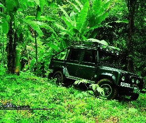 samochód, dżungla, Film Tomb Raider