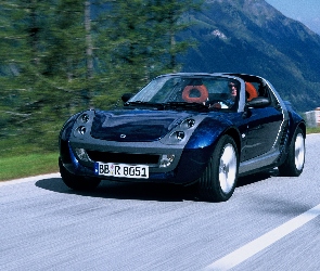 Czarny Metalik, Smart Roadster
