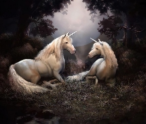 Jednorożce, Fantasy, Las