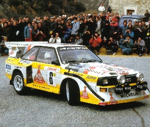 Halogeny, Bosch, Audi Quattro
