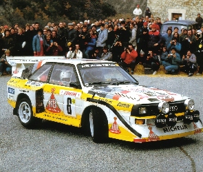 Audi Quattro, Bosch, Halogeny