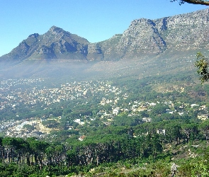 Las, Domki, Góry