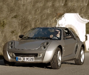Szary, Smart Roadster