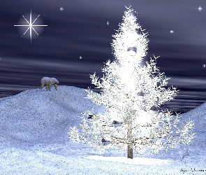 choinka, niedźwiedź , Boże Narodzenie, pierwsza gwiazdka