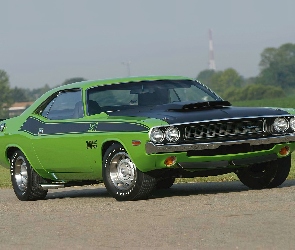 Maska, Wlot, Zielony, Dodge Challenger