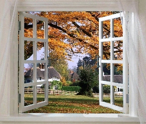 Jesienny, Okno, Przez, Widok