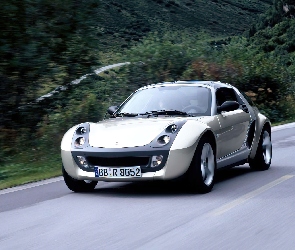 Szary, Smart Roadster