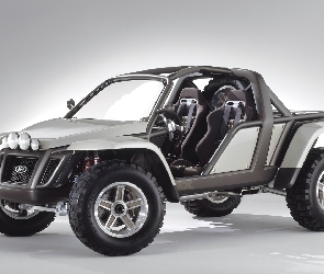 Prototyp, Buggy, Ford