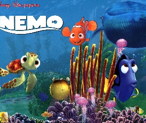 Finding Nemo, Bohaterowie, Gdzie jest Nemo