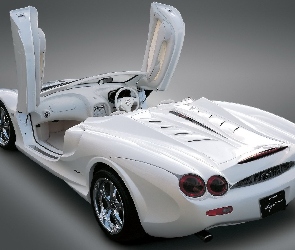 Mitsuoka Orochi, Tył