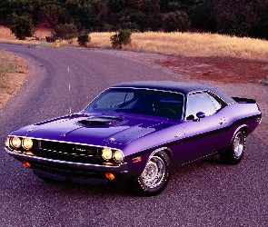 426, Hemi, Dodge Challenger