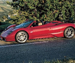 Pagani Zonda, Kabriolet