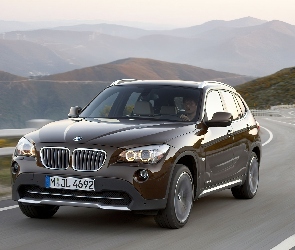 BMW X1, 23d, Brązowe