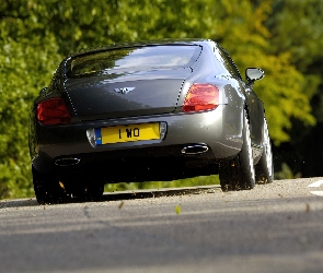 Bentley Continental GT, Opon, Profil