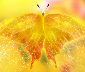 Motyl, Grafika, Żółty