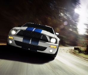 Shelby, Ford Mustang