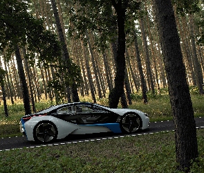 BMW Vision, Strona, Prawa