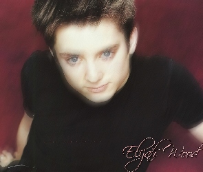 czarna koszulka, niebieskie oczy, Elijah Wood