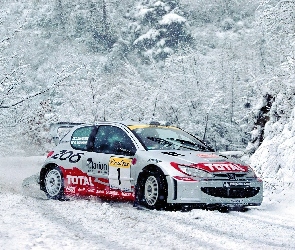 Peugeot 206, Rajdowy