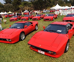 Ferrari 288 GTO, Zlot