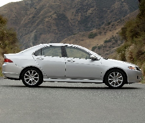 Bok, Acura TSX, Prawy