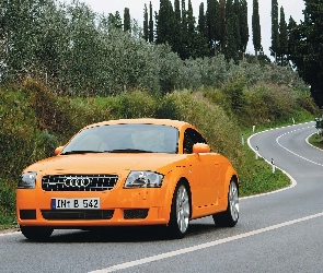 Audi TT, Ulica