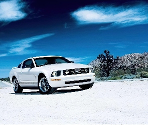 Biały, Ford Mustang V6 Pony