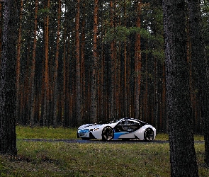 BMW Vision Efficient Dynamics, Las