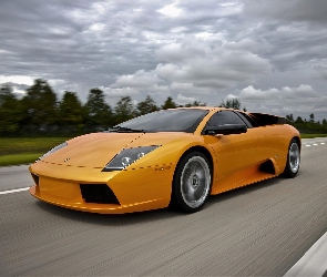 Murcielago