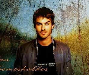 Ian Somerhalder, The Vampire Diaries, Pamiętniki wampirów