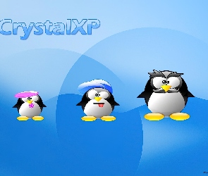 Linux, wąsy, rodzina, czapka, pingwin