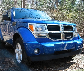 Terenie, W, Niebieski, Dodge Nitro
