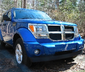 Niebieski, Terenie, W, Dodge Nitro