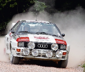 Audi, Halogeny, Quattro, GT, Przód