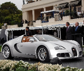 Wystawa, Cabriolet, Srebrny, Veyron
