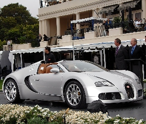 Srebrny, Wystawa, Cabriolet, Veyron