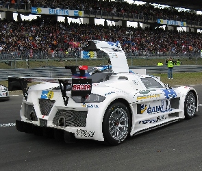 Wersja, Wyścigowa, Gumpert Apollo