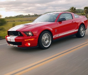 Shelby, Alufelgi, Ford Mustang