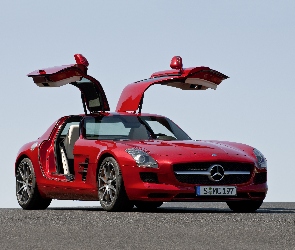 Mercedes Benz SLS, Drzwi, Skrzydła