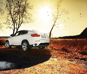 Białe, BMW X6