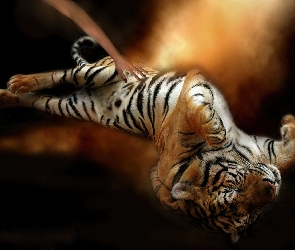 Tygrys, Art, Grafika, Łapy