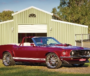 Mustang 351