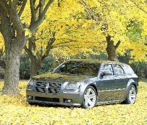 Dodge Magnum, Drzewa