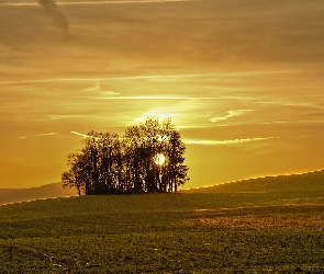 Łąki, Drzewa, Zachód, Słońca