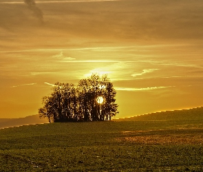 Zachód, Łąki, Drzewa, Słońca