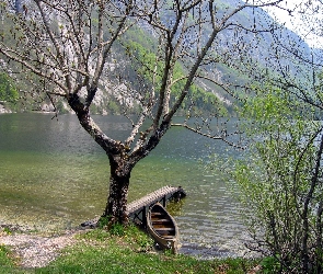 Jezioro, Drzewo, Łódka, Pomost