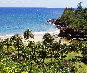Ogród, Hawaje, Kauai, Palmy, Morze
