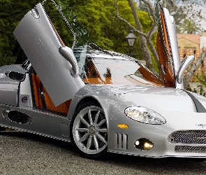 Spyker C8 Aileron, Drzewa, Plac