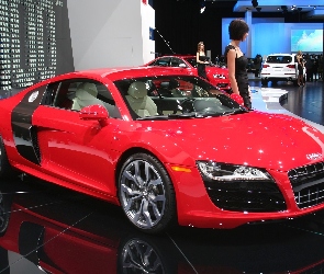 Audi R8, Hostessa, Dealer