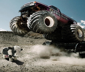 Krowa, Monster Truck